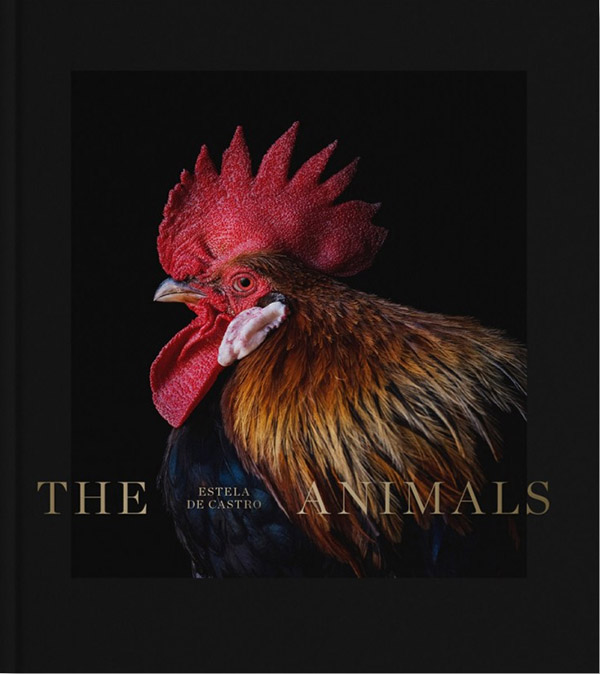 THE ANIMALS - ED BILINGÜE