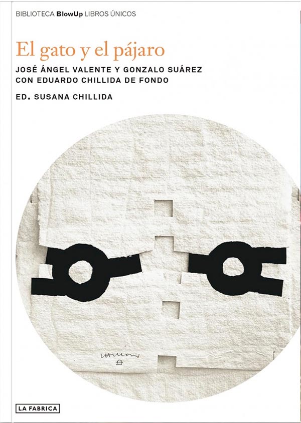 EL GATO Y EL PAJARO