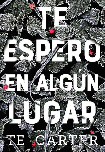 TE ESPERO EN ALGUN LUGAR